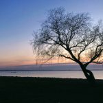 深度解析IPX-811链接的功能与应用 0bema4uci