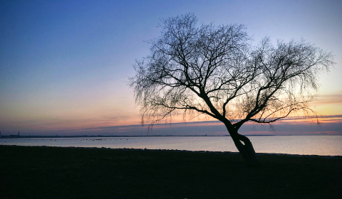 深度解析IPX-811链接的功能与应用