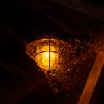 棒棒要bi:探索生活中的小确幸与快乐秘诀 7afsoj98