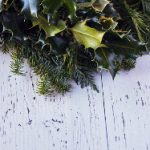 本圣女摊牌了漫画完结:揭示最终真相与角色命运 7n8310