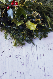 本圣女摊牌了漫画完结：揭示最终真相与角色命运