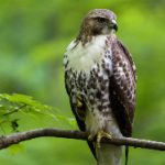 深入解析日经新闻对日本经济的影响与展望 8im97fl