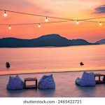 本圣女摊牌了立绘:揭示隐藏的真相与角色魅力 b1tn6vlh