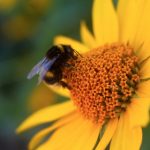 楪可怜魅魔使番号:探索她的魅力与神秘故事 e3z5r8