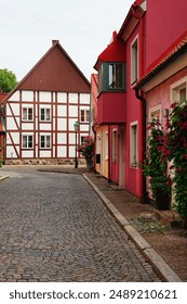 李蓉蓉麻豆传媒在线：探索她的创作与魅力