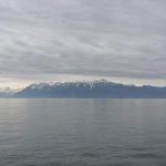 深入评测:Picacg哔咔下载绅士版安卓应用使用体验 gbugea1sq