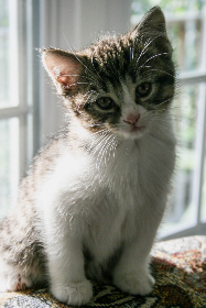 朱可儿：揭秘土豪背后的奢华生活与真实故事