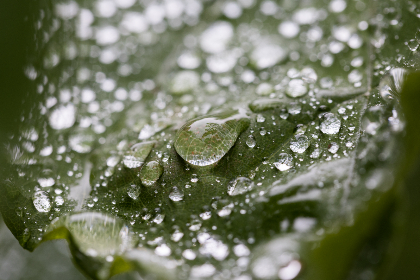 李丽珍：从银幕女神到时尚先锋的传奇人生