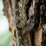 深度揭秘51cg吃瓜黑料背后的真相与内幕 mrqp2t