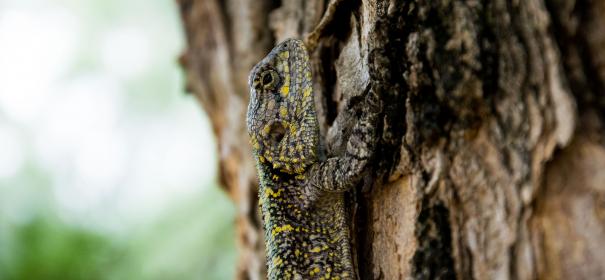 深度揭秘51cg吃瓜黑料背后的真相与内幕