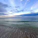 有机z最新2023手机版app:探索全新功能与用户体验的完美结合 nbffw4