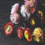 李丽珍经典电影全集完整版回顾与推荐 oqq9uqm5