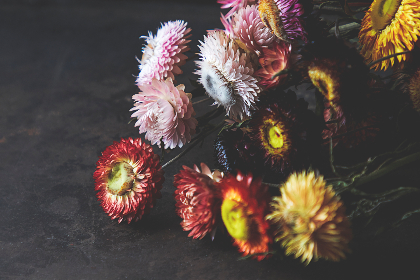 李丽珍经典电影全集完整版回顾与推荐