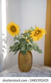 村花论坛密码：揭秘村花论坛的注册与使用技巧