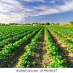 有基zz2024电信:探索未来通信技术的创新与发展趋势 qw15uo9pmq