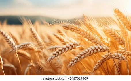 樱花动漫imomoe官方官网：畅享最新动漫资源与精彩内容的最佳平台