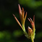 李一桐惊艳变身:AI换脸技术带来的视觉盛宴 wn18bc