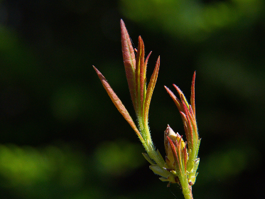 李一桐惊艳变身：AI换脸技术带来的视觉盛宴