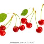 畅享美剧大全:免费观看热门电视剧的最佳平台 0cb2ujso