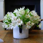 畅享美剧免费观看软件,天天追剧不再愁 682ot0