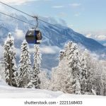 畅享精彩影片,右手影院在线观看全新体验 7sp685mxj1