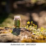 畅享精彩赛事:推荐最佳球赛直播APP 81nf63d8f