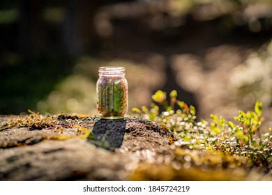 畅享精彩赛事：推荐最佳球赛直播APP