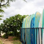 畅享美剧窝在线看,尽情追剧无阻碍 h2qb983y