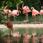 畅享美剧在线观看网站推荐与使用指南 ltx72kcpr