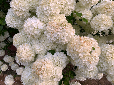 畅享精彩影视体验:小宝影院APP全方位解析 畅享精彩影视体验:小宝影院APP全方位解析