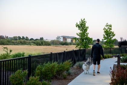 畅享美丽新世界漫画，免费在线阅读尽在掌握