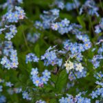 畅享美剧的最佳APP推荐与使用指南 w0lhil8j