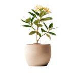 畅享精彩影视,尽在可乐影视官网入口 x5ubeq7w1