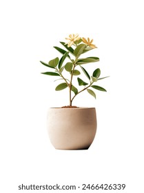 畅享精彩影视,尽在可乐影视官网入口 畅享精彩影视,尽在可乐影视官网入口